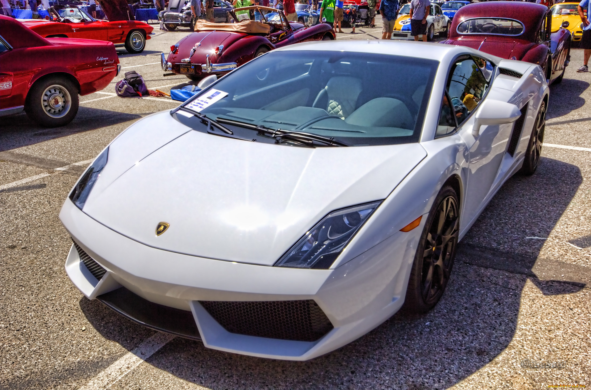 2010 lamborghini gallardo lp560-4, ,    , , 